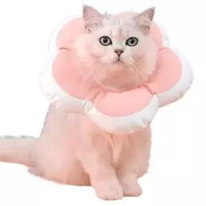 [반려] 고양이 방수 쿠션 넥카라 핑크 M 1P 강아지 수술 보호