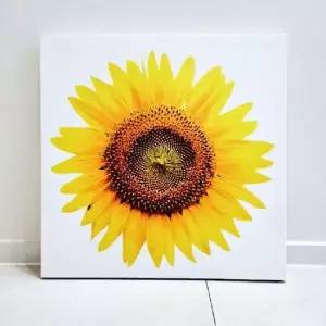 들어오는 해바라기 액자 해바라기그림 꽃송이 큰 해바라기그림 해바라기사진