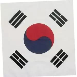응원용 대형 용 기념 태극기 손수건 응원-WFO1YSR