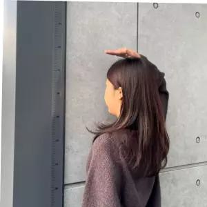 키재기판 붙이는 스티커 키재기자 투명