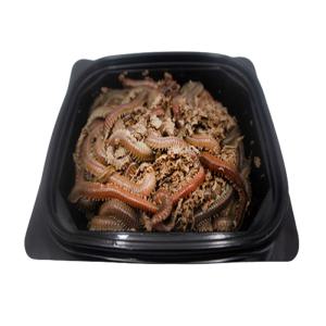 도원피싱 비만통통 청갯지렁이 60g 생물 청개비 갯지렁이 미끼