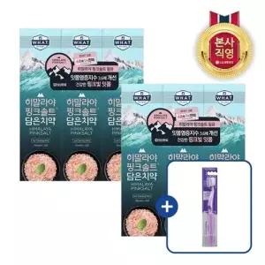 [온가족 여름치약] 히말라야핑크솔트 담은 치약 아이스 카밍 민트, 100g x6개 + 퍼플 화이트닝칫솔 1입
