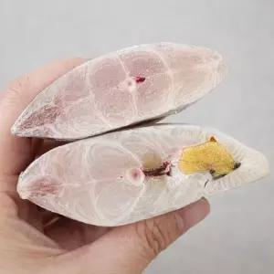 대왕 토막갈치 5지 갈치 1kg 두툼한 손질 냉동 갈치 (500g x 2팩)