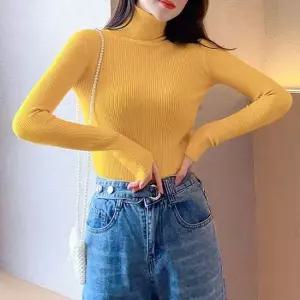 여성 겨울 예쁜 터틀넥 부드러운 골지 니트 목폴라 티 여성티셔츠