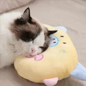 펫 강아지 돼지 쿠션 반려견 애견 잠자리 베개 타원 원형