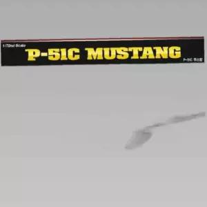 72sc P51C 무스탕