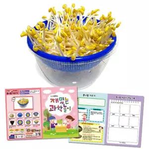 만들기 큰 그릇 콩나물 키우기 관찰기록지포함 큰그릇 과학 식물