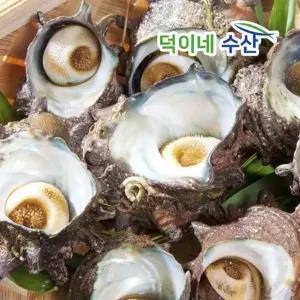 [하프클럽/신선식품]국내산 산지직송 제철 뿔소라 1kg