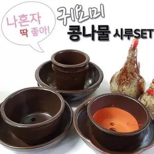 숨쉬는 귀요미 3호 콩나물 1인용 시루세트1/2 klm568