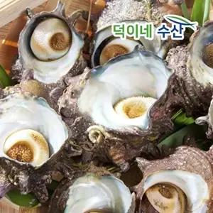 [프레쉬푸드]국내산 산지직송 제철 뿔소라 1kg