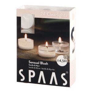 클리어라이트 향초 24개 투명컵 티라이트 SPAAS