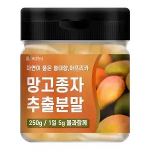 와일드망고 추출 분말 가루 250g