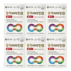 종근당건강 활력비타민B 플러스 60정 6세트
