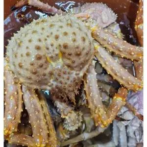 [하프클럽/오티마트]러시아 자숙 브라운킹크랩 1.5kg(자숙 전 중량)