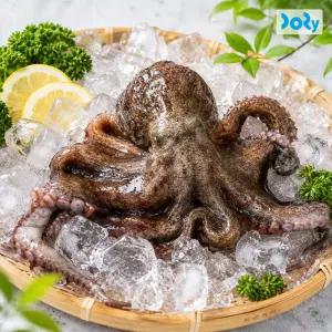 [도리마켓] 국내산 당일 어획 후 발송 여수 돌문어 1kg (1-4미 내외) 활문어