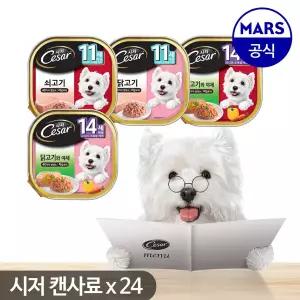 시저 캔 11세/14세이상 100gx24개
