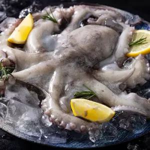 당일조업 고흥 자연산 돌문어 1kg(1~3미)