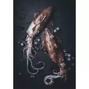 국내산 동해 초코오징어 1kg (10미내외) 통찜용 총알 손질완료 
