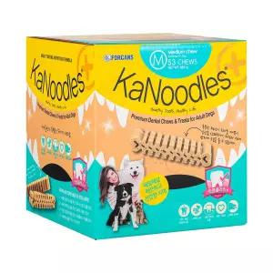 포켄스 카누들 잇몸플러스 필로팩 M 강아지 덴탈껌