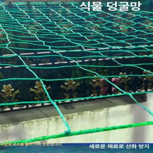 덩굴망 실물 고추망 그물 넝쿨 애플수박망 완두콩 호박 오이그물 농업용 지지대 메쉬
