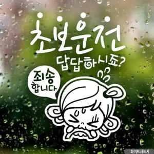 자동차스티커 초보답답 초순이 초보운전 화이트시트지/자동차/반사/스티커/차량/안전/글자/어르신/운전중