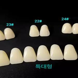 임시의치 가짜치아 이빨모형 자가 미백 보조 간단한부착