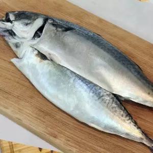 왕특대 부산 간고등어 1kg 이상 2미입 다대포고등어 참고등어 부산 자반고등