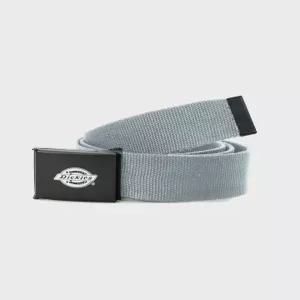 디키즈 캔버스 위빙 벨트 Iceberg Green 40964392