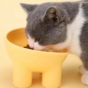(올핀)강아지 고양이 세라믹 밥그릇 물그릇 애견 사료 식기