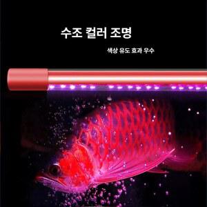 수조 LED 단일 인도네시아 50W 전용 강화제 스펙트럼 램프 랜턴 관상어에 그린