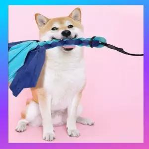 강아지 장난감 터그놀이 우드스틱 터그폴 강아지 고양이
