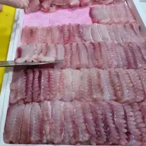 톡쏘는 알싸한 흑산도 홍어 생선 술안주 1kg
