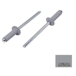 50피스 RAL7040 알루미늄 강스틸 회색 페인트 블라인드 리벳 둥근 머리  리벳이있는 컬러 팝