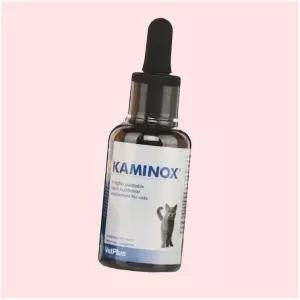 벳플러스 vetplus 카미녹스 60ml 4695374