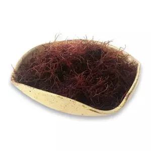 장흥해초 말린 다시마 모자반 류 바다음식 톳 장흥 미역 국수 매생이 세모가사리 1Kg 줄기 다시마 염장