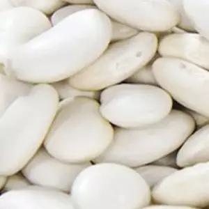 흰 강낭콩 씨앗 야채 콩류 가정원예 30g 종묘사 껍질 열매