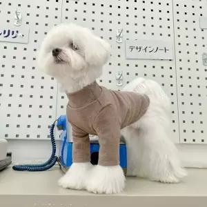 강아지옷 터틀넥 면티셔츠