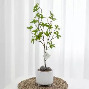 아트박스/플라워트리 대형 엔카이셔스 조화 화분 도자기 set 58cm 장식