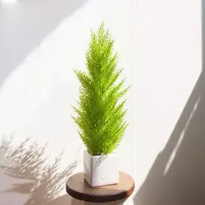 아트박스/플라워트리 대형 율마 조화 화분 오색자갈 set 56cm 인테리어 꽃