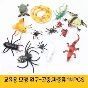 (힘찬)어린이집 유치원 학습 교육 완구 곤충 파충류 모형 중완구 공룡 영유아장난감 새모형 용완구 피규어