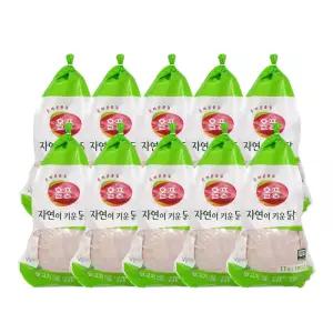 올품 국내산 냉장 무항생제 육계 통닭 11호 X 10수 백숙용 생닭 업소용 대용량