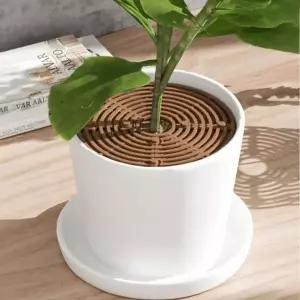 커버 화분 흙날림 고양이 아기 19cm 덮개 방지 흙가리