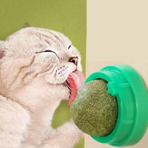 CATNIP 고양이 스틱 SCRATCHER는 건강한 자연을 잔디 촉진하기 스낵 소화를 치료하여 위해 공을 제거합니다