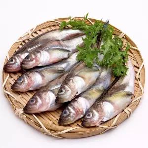 제철동해안 도루묵 생물손질 간편식구이찜요리용