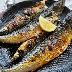 동해 생물급냉 통고등어