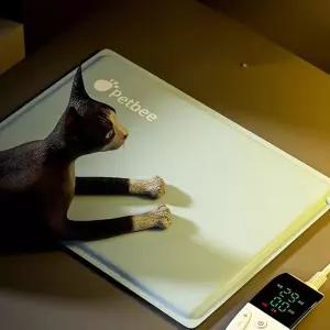 애견 전기요 고양이 소형 온열매트