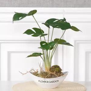 아트박스/플라워트리 몬스테라 조화 화분 자연 set 40cm 인테리어 식물