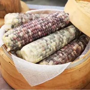 국내산 삼기품 흑찰옥수수 300g x 5팩 총 10ea)