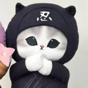 ( )대형 닌자 봉제 인형 BIG 28cm 블랙 캐릭터 인테리어 쿠션 장식 인형