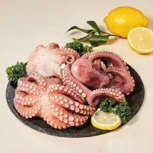 산지직송 국내산 돌문어 (고흥) 급냉 1kg 내외 (2-3미)